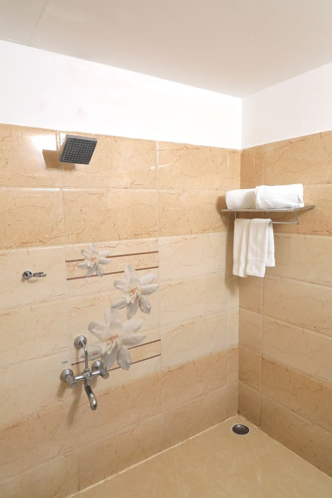 Jal Mahal Resort & Spa, Mysore photo 6