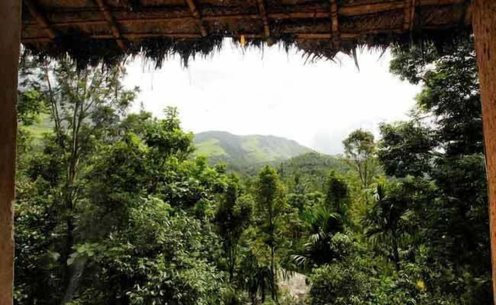 Banasura Hill Resort photo 4
