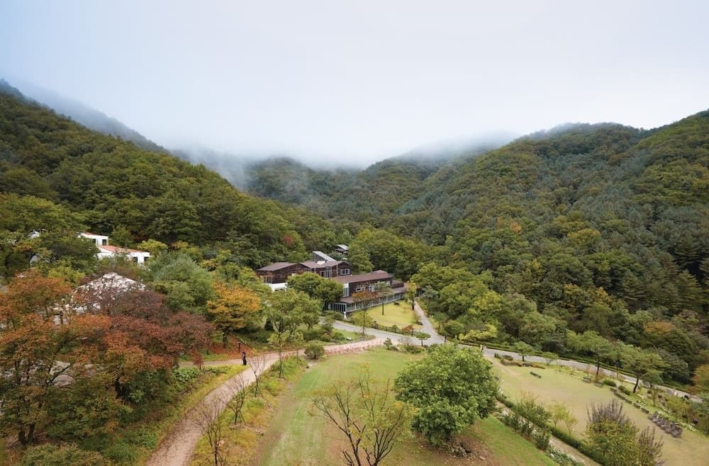 Healience Seonmaeul photo 7