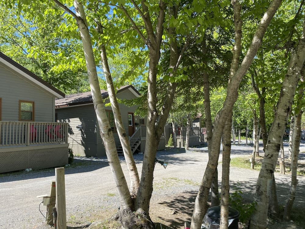 Georges Mountain Village photo 2
