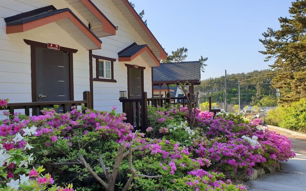 Haesol Maru Pension Taean photo 5
