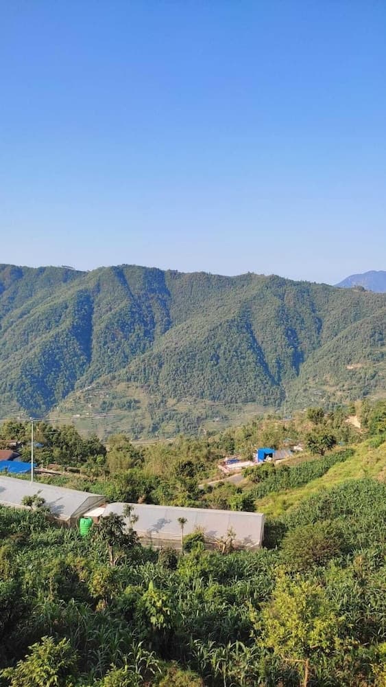 jay sambhoo pumdikot lodge photo 2