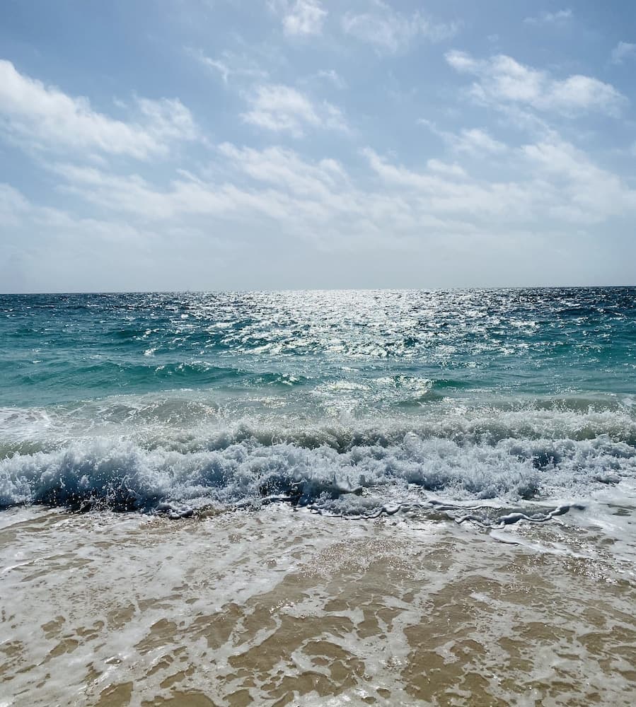 The Lookout - Coral Beach photo 5