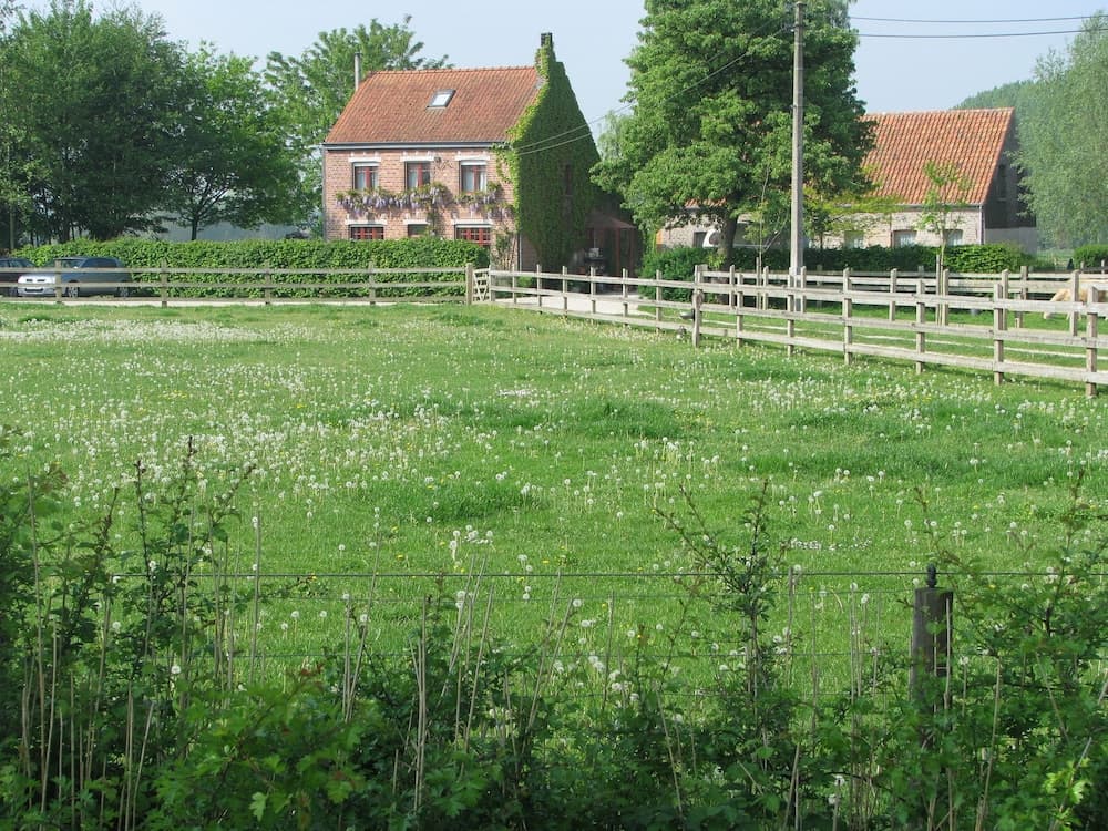Le Plat Pays