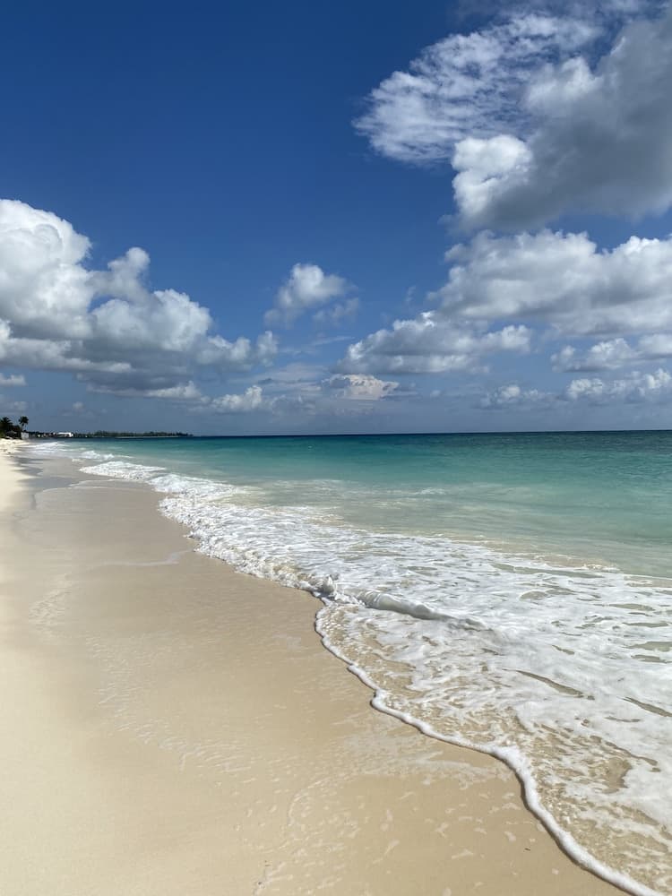 The Lookout - Coral Beach photo 7