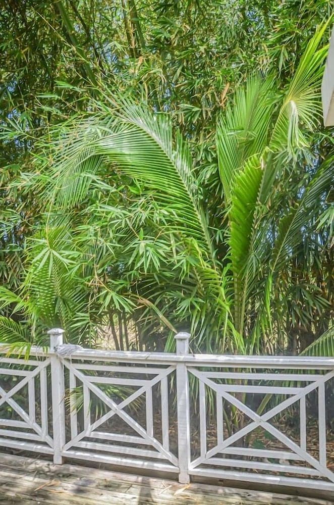 Bamboo Villa photo 9