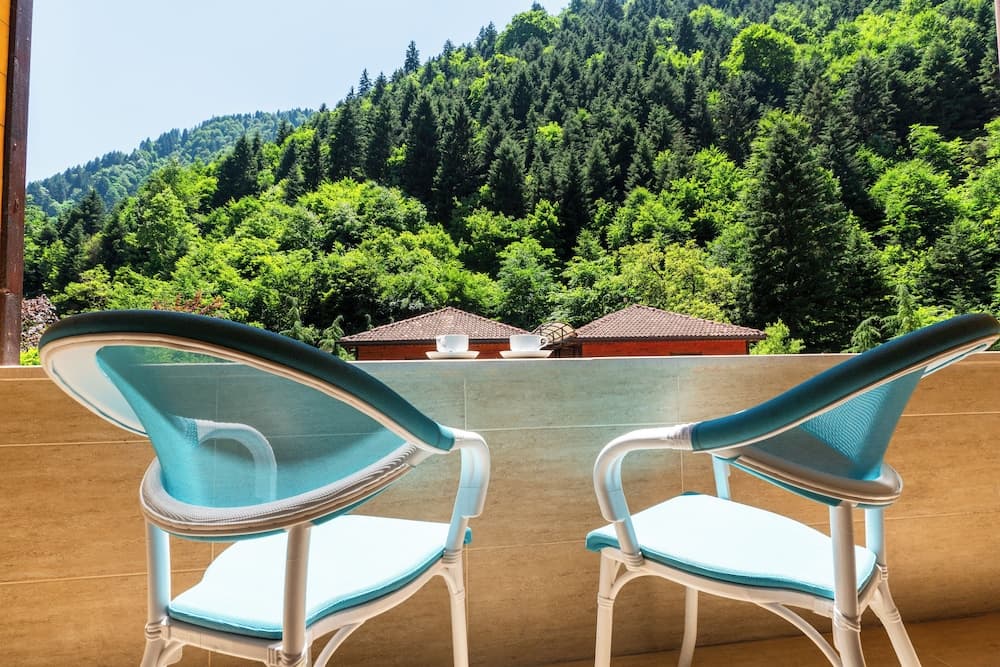 Flora Uzungol Resort Hotel photo 5