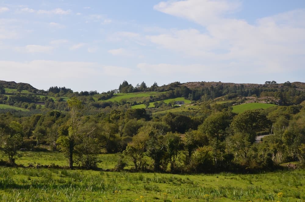 White Heather Farmhouse photo 8