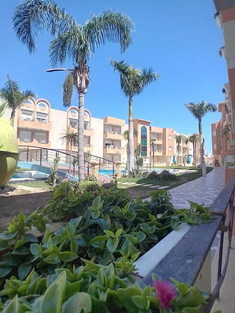 The Dunes Apartments photo 7