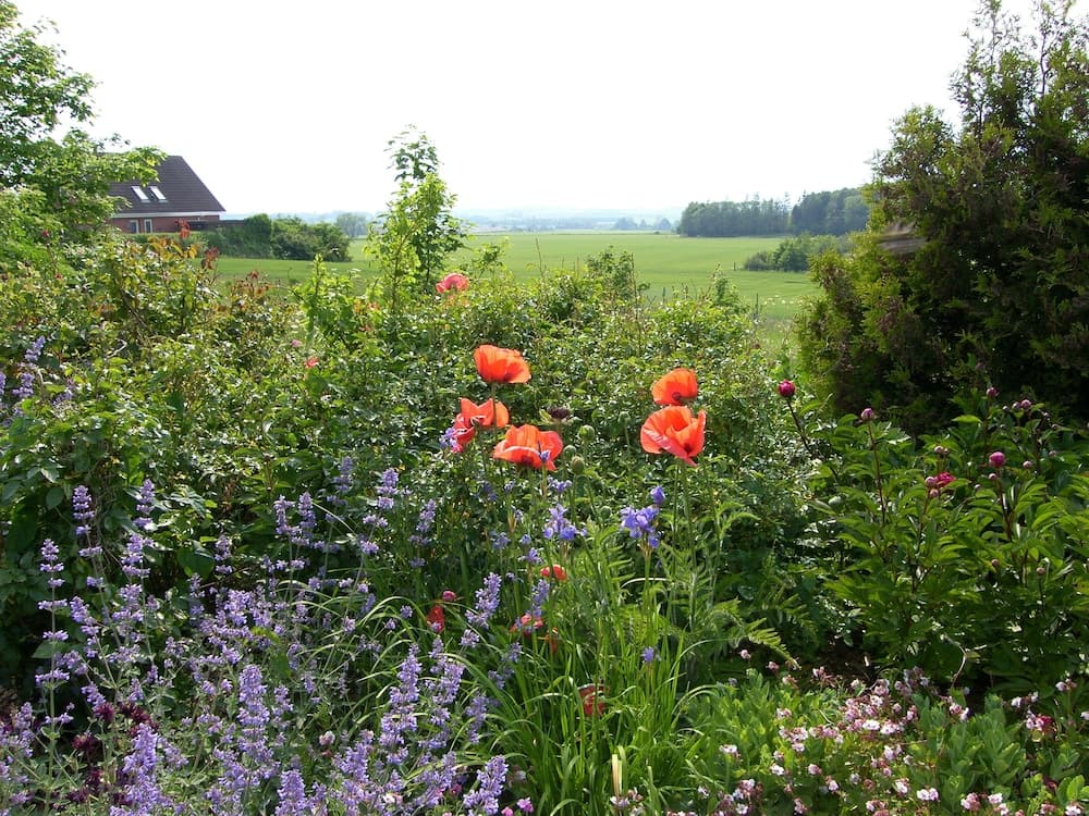 Klintholm Bed & Breakfast photo 9
