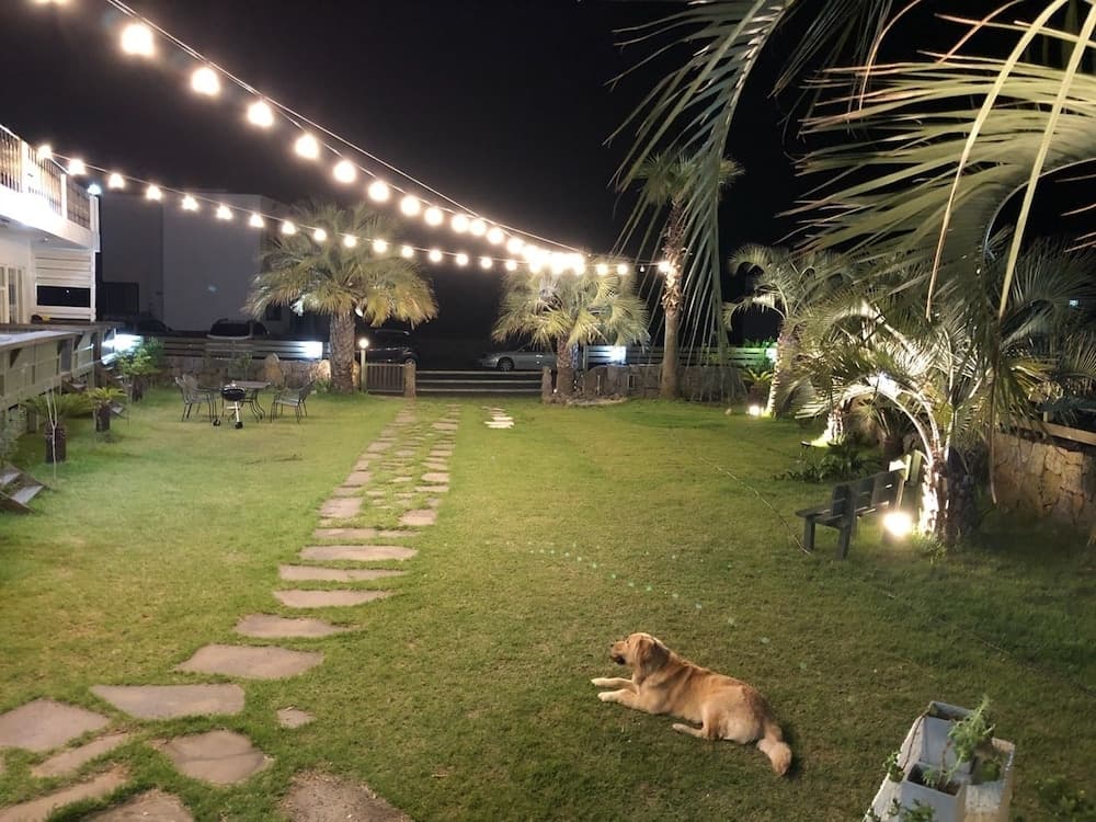 Lounge House Jejuda photo 6