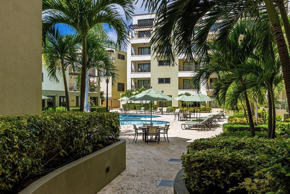 Palm Aruba 408 photo 7