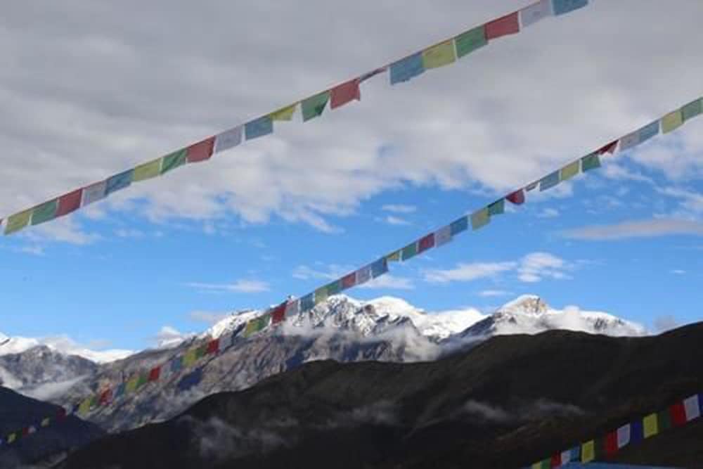 Annapurna Inn photo 9