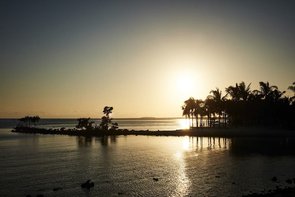 Isla Bella Beach Resort & Spa photo 3