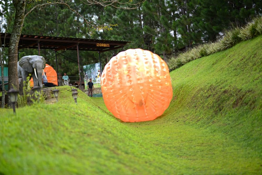Dahilayan Forest Park Resort photo 4