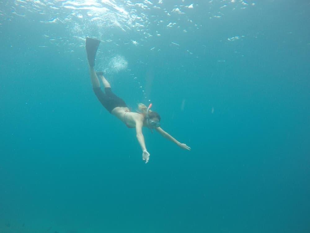 Rasdhoo Coralville photo 8