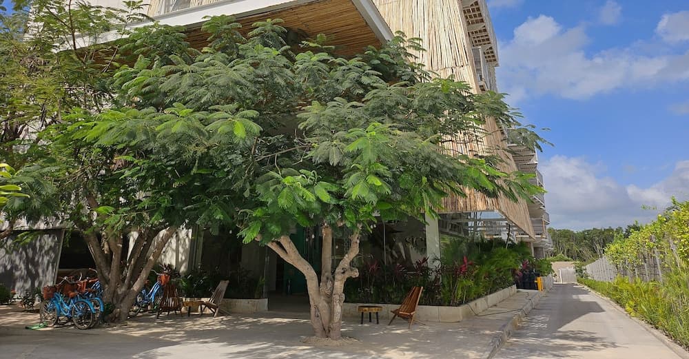 Siente Tulum Hotel & Cenote Club