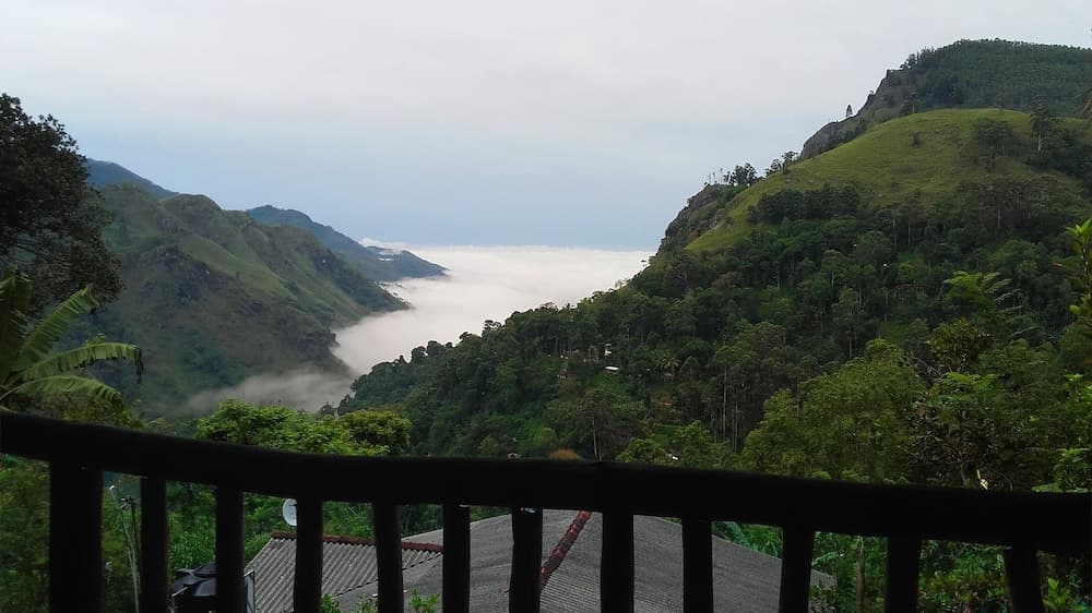 Paraiso Guest House photo 3