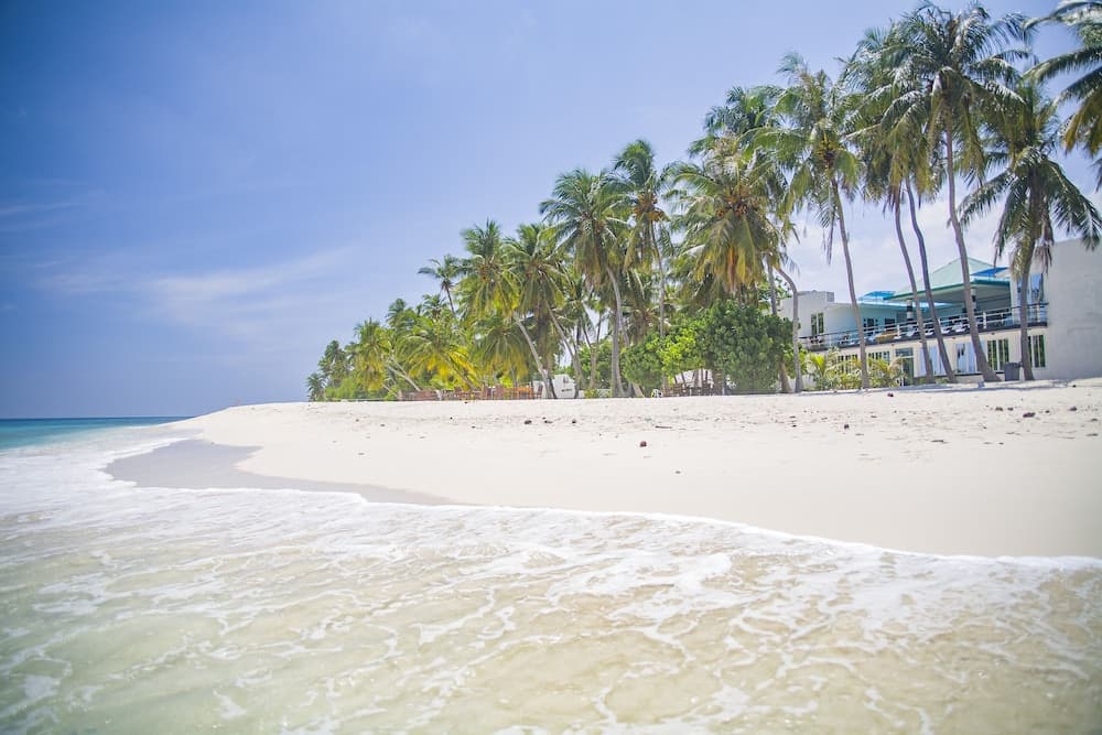 Dhonfulhafi Beach View & Spa photo 8