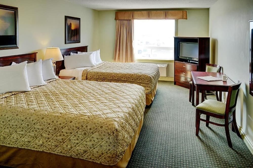 Nova Inn Acheson photo 7