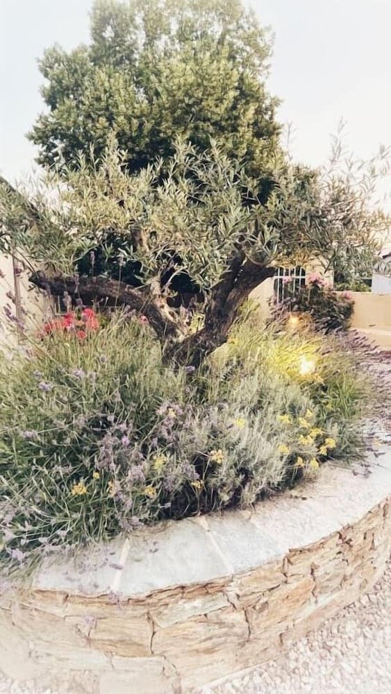 À Villa di Rutali photo 7