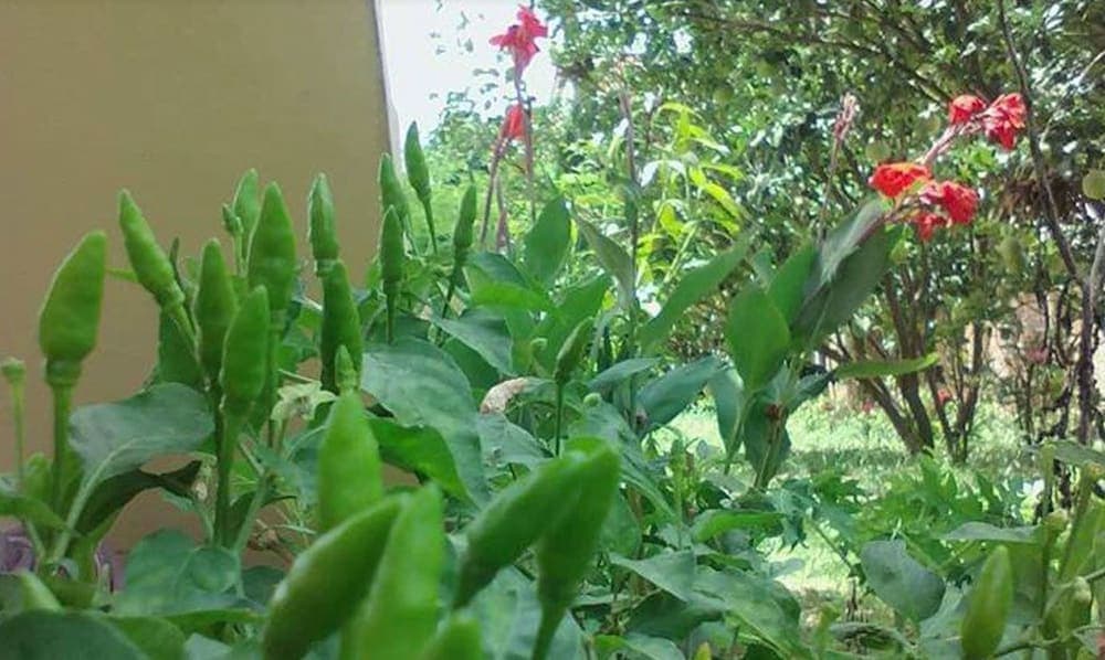 Sokhon Home Stay - Adults Only - Hostel photo 6