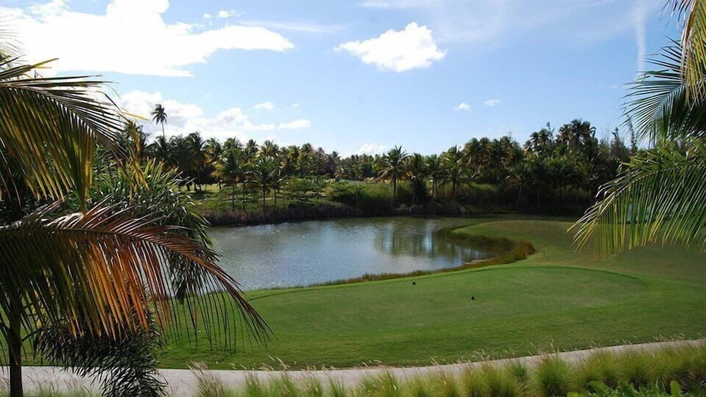 5 Star Caribbean Villa photo 5