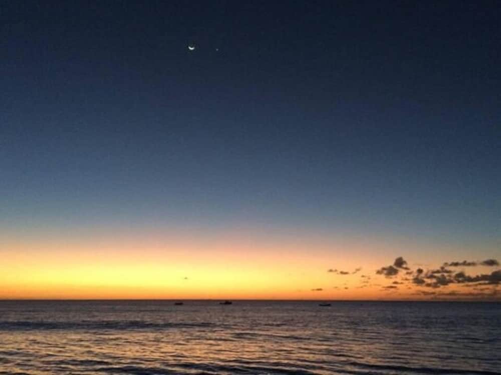 Sunset Oasis photo 6