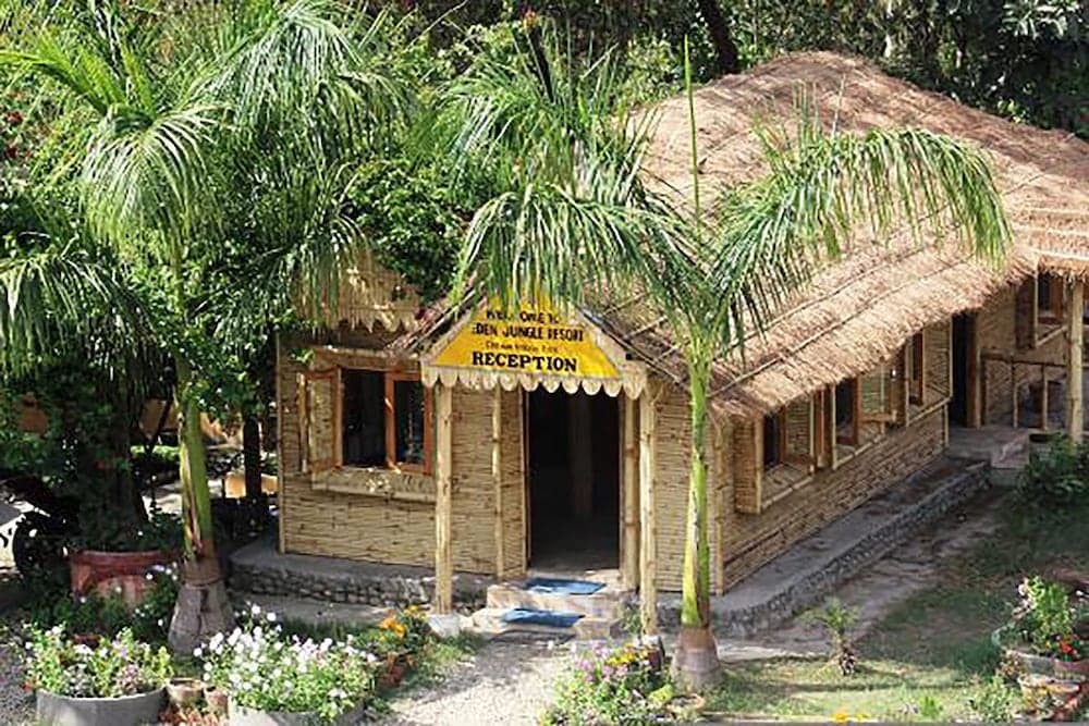 Island Jungle Resort photo 7