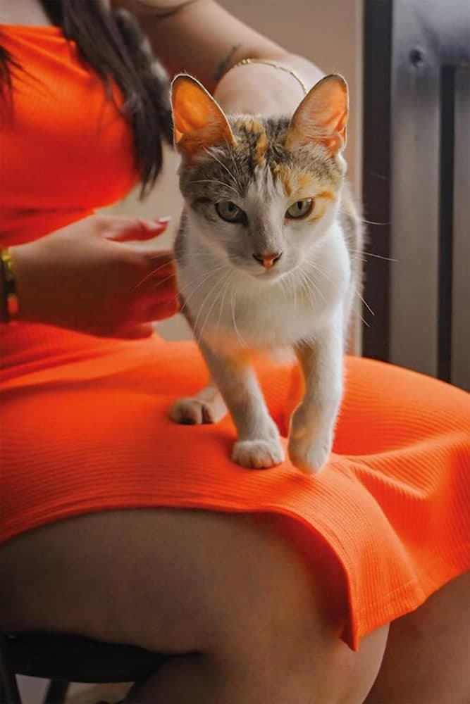 human