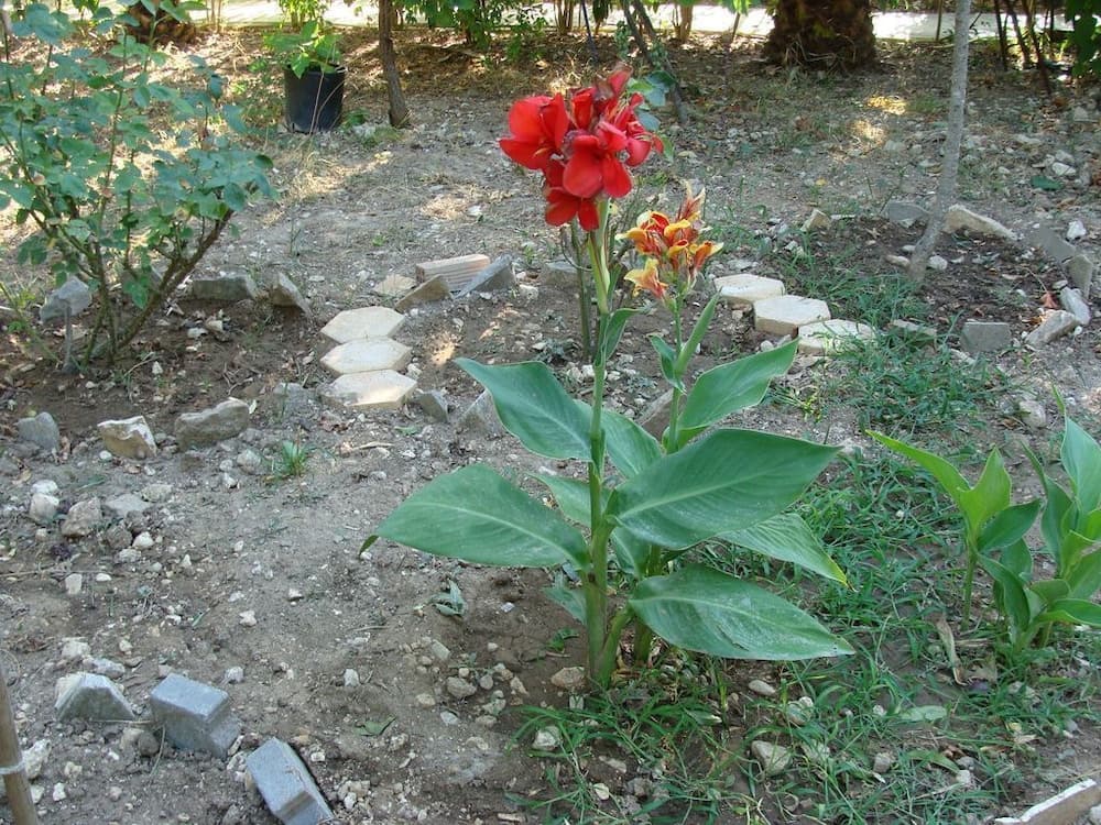 Villa Galini photo 2