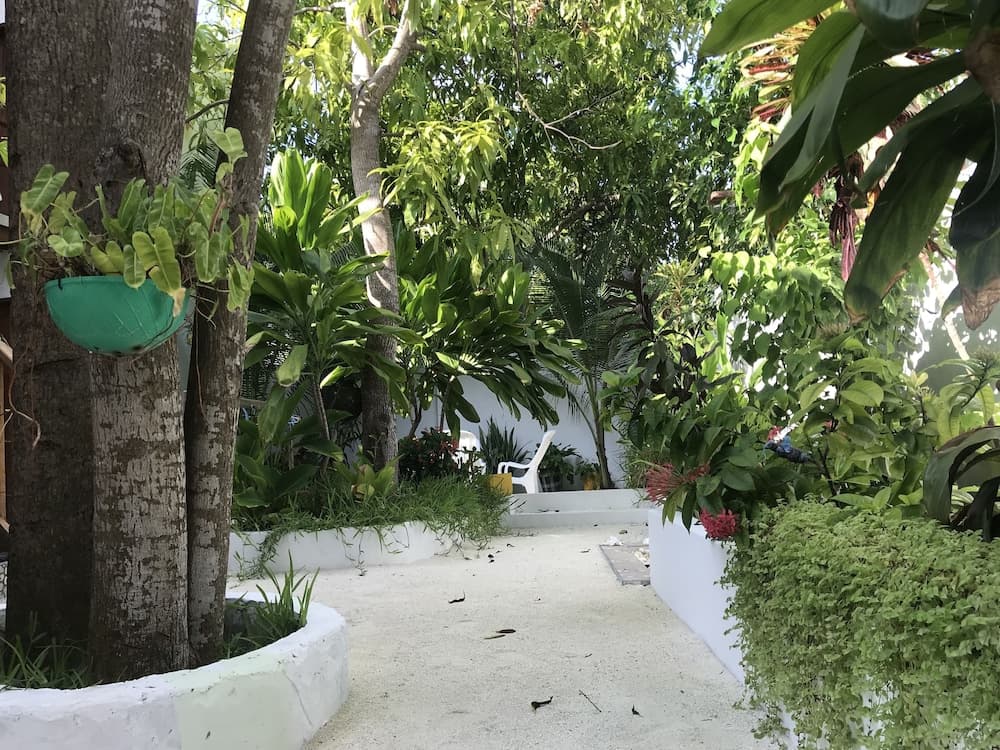 Rasdhoo Dive Lodge photo 9