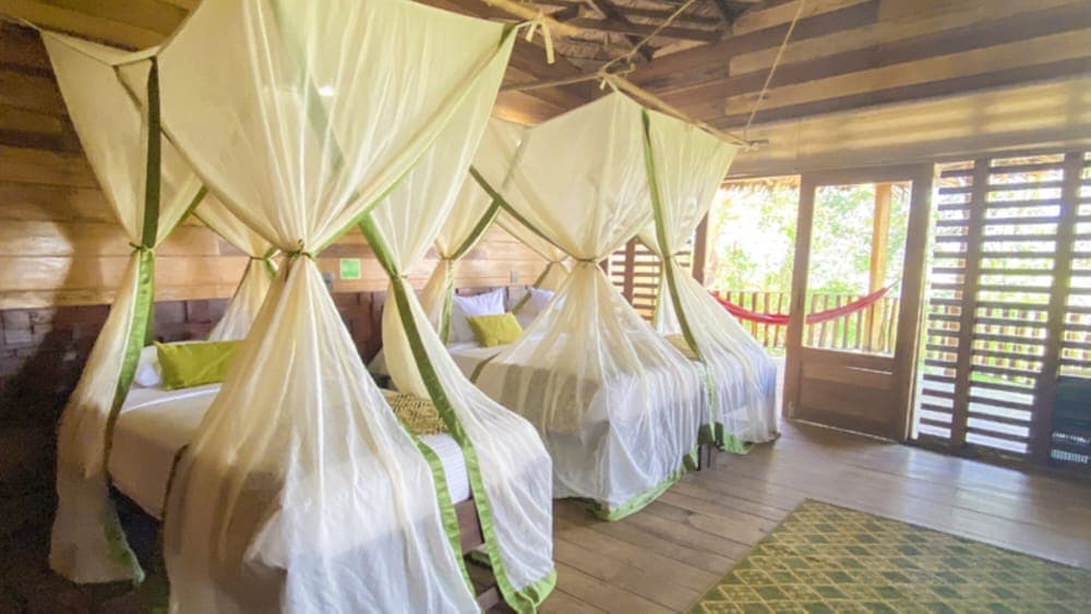 Hotel Amazon by On Vacation photo 6