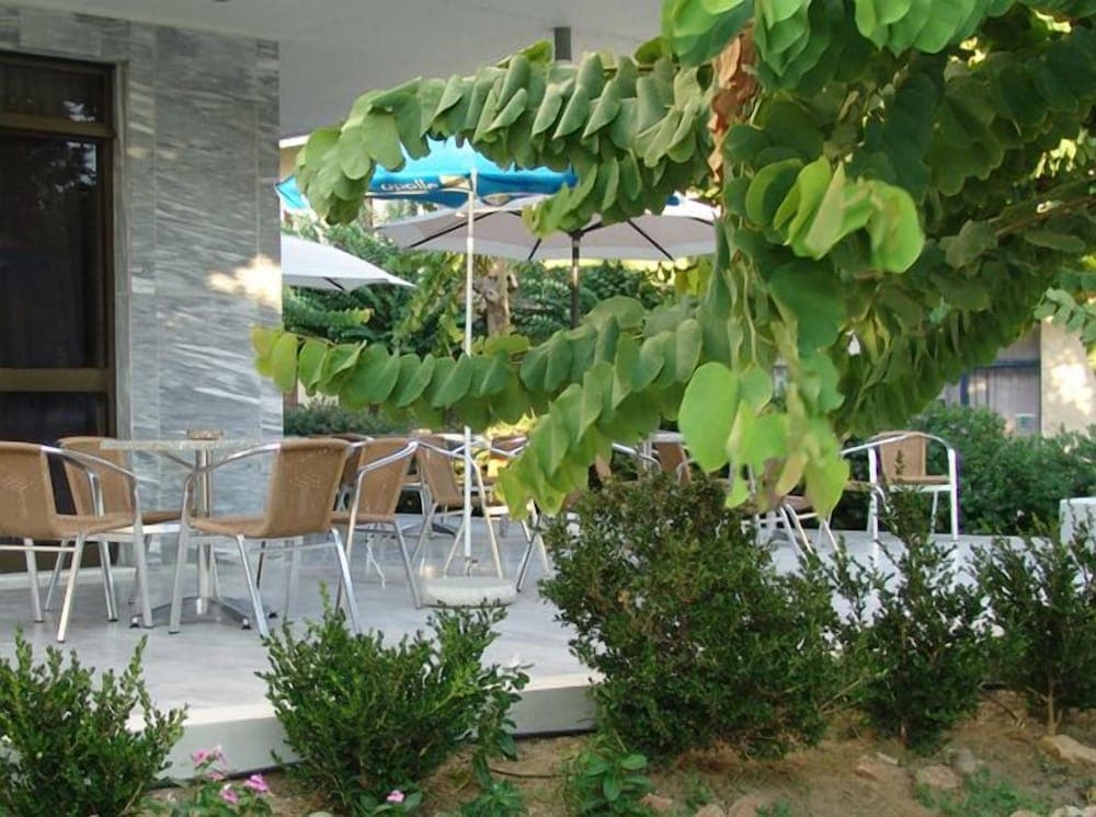 Dimitris Paritsa Hotel photo 7