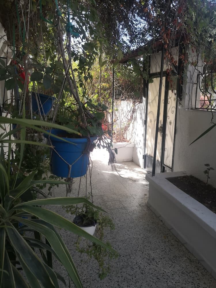 Casa Zitouna- Guest House - Kef, Tunisia