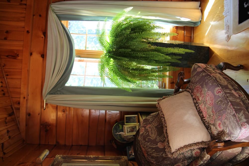 Jewel on the Hill Bed & Breakfast photo 3