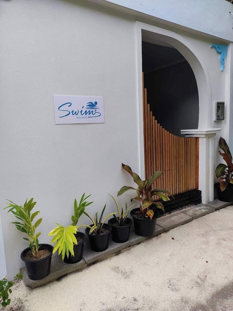 swims maldives photo 3