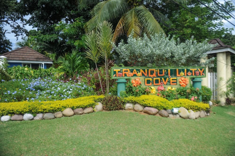 Tranquility Cove Apartments photo 8