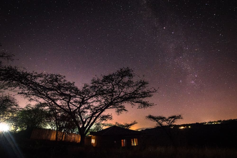 The Hilton Bush Lodge photo 4