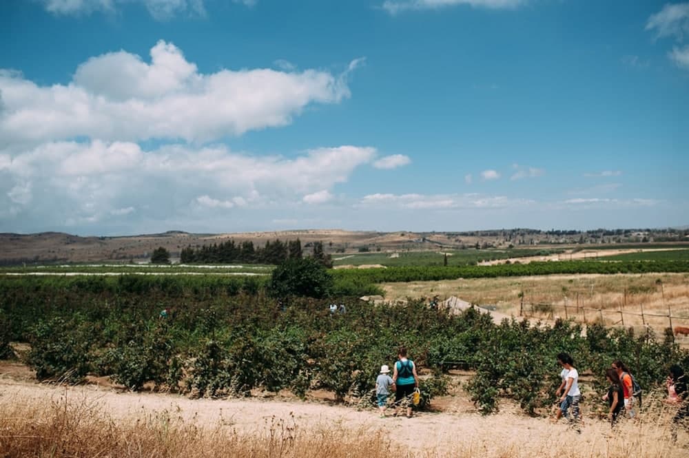 Ein Zivan Tourism photo 7
