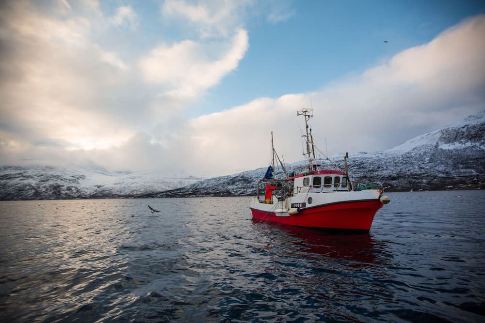Arctic Panorama Lodge photo 5