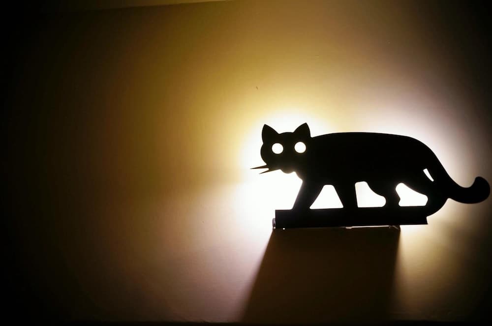 Smokey Cat B&B photo 7