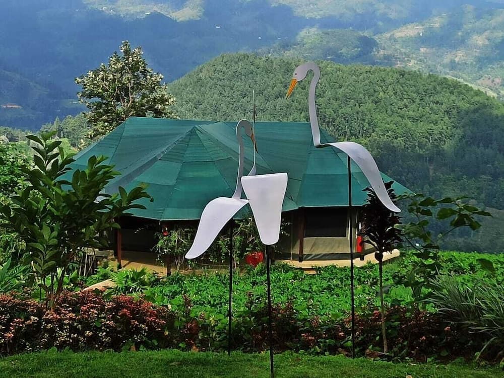 Madulkelle Tea and Eco Lodge photo 4