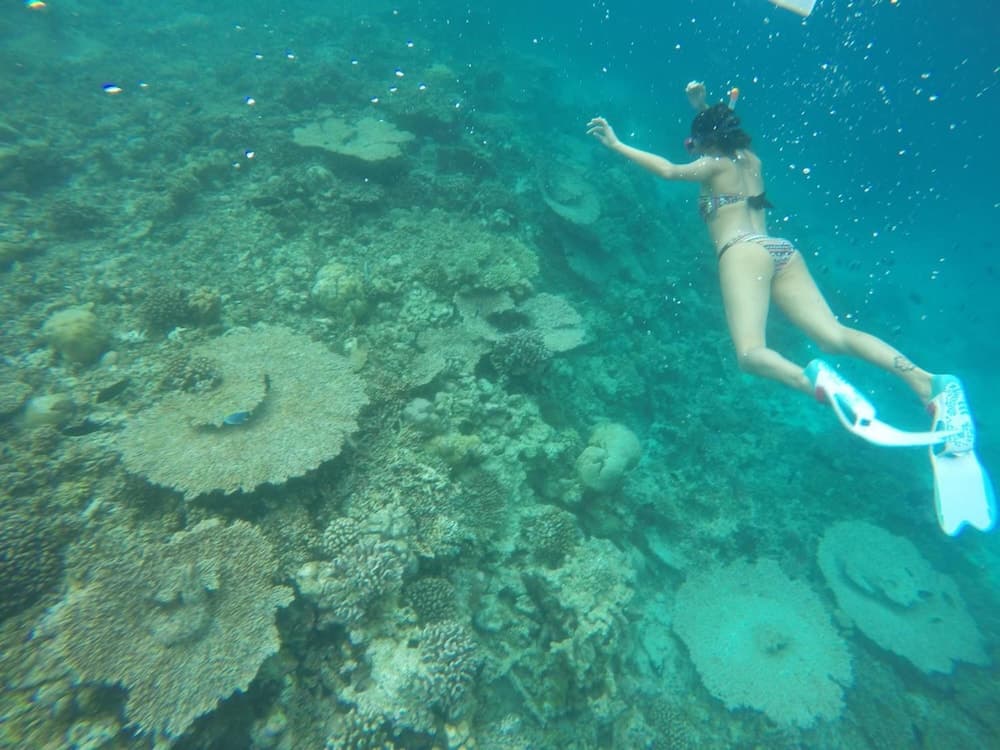 Rasdhoo Coralville photo 5