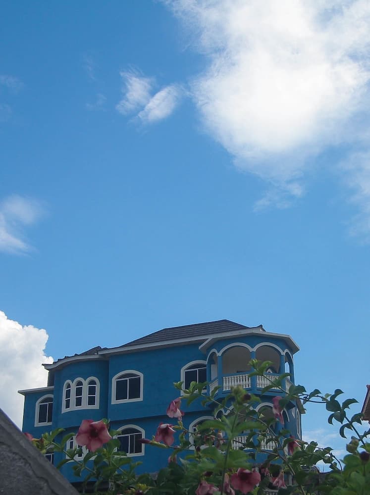 Blue Hills -Ocean View photo 9
