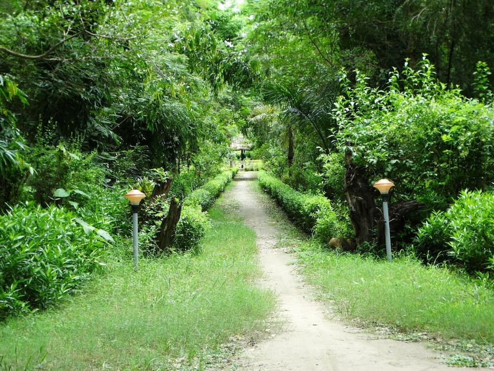 Nepal Wildlife Resort photo 5