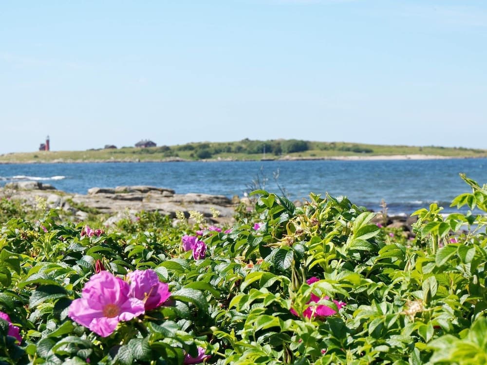 4 Star Holiday Home in Halmstad photo 7