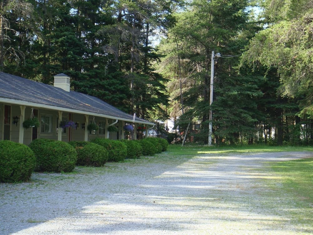 Pine cone Motel photo 3