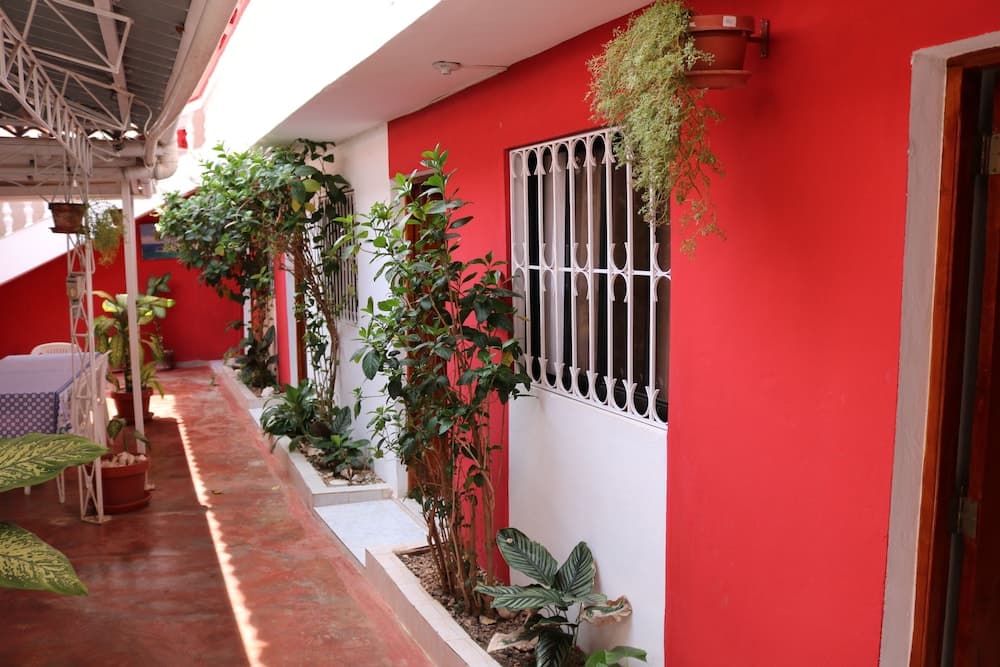 Hostal D Oleo Méndez photo 9