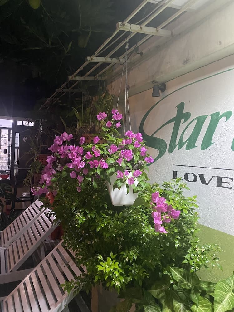 Starfruit Villa Hoi An photo 4